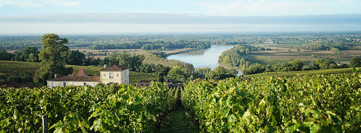 Vue de Bordeaux